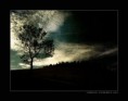 /album/fotogaleria/krajina-posedla-tmou-jpg/